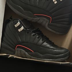 Jordan 12s Size 5.5y/6W