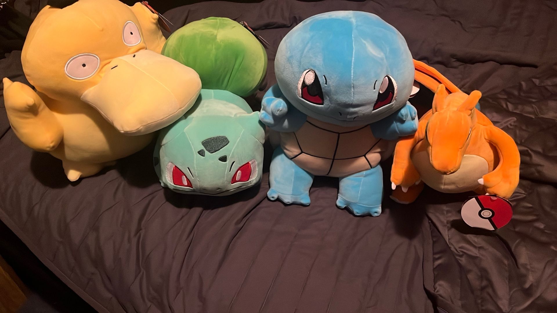 Pokemon Plushies 