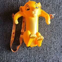 Disney’s Animal Kingdom, Simba Popcorn Bucket