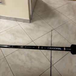 Daiwa Spinning Rod 