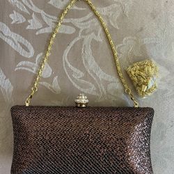 Elegant Luxurious Crystal Clutch