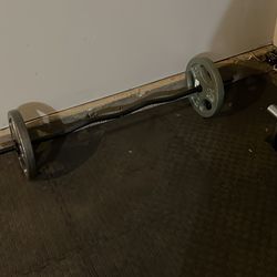Curl Bars With Weights 