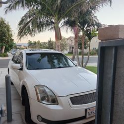 2005 Nissan Maxima
