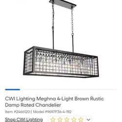 Meghna 4-Light Brown Rustic Damp Rated Chandelier

