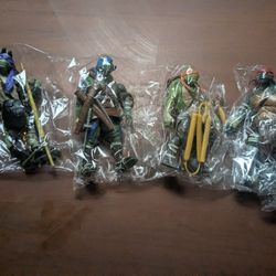 Teenage Mutant Ninja Turtle 