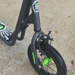 Scooter Mongoose