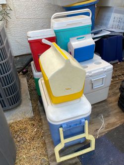 Coolers/Lunch box
