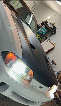 Mustang hood