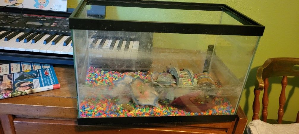 Aquarium + Various Equipment