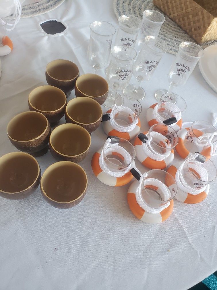 24 Pisces Of Shots Set