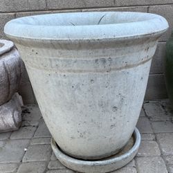 Concrete Planter / Pot