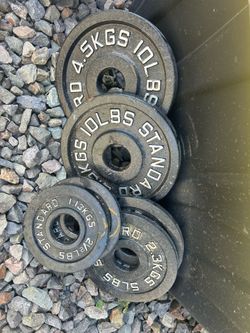 Stationary Bike, Olympic Barbell, EZ Bar w/ plates