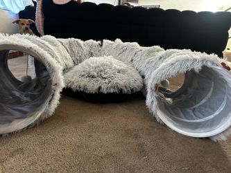 Cat tunnel