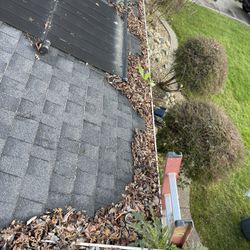 Roof & Gutter Cleaning