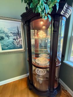 Gorgeous Cherry Wood Display Cabinet with Integrated Lighting & Mirrored Back