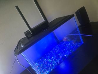 Fish tank 5 gallons