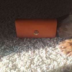 Tory Burch Sunglasses 