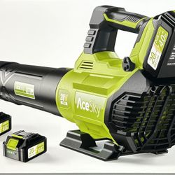 Cordless Leaf Blower 2025 Updated 
