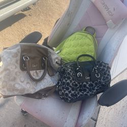 Coach Purses