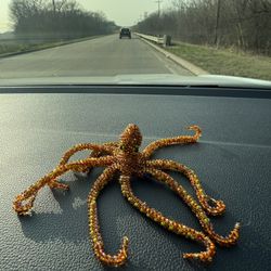 Golden Octopus