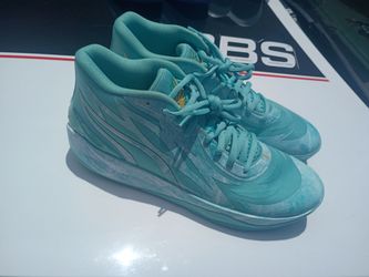 Pumas camellos