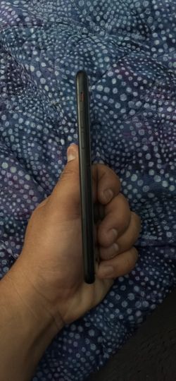 iPhone 5