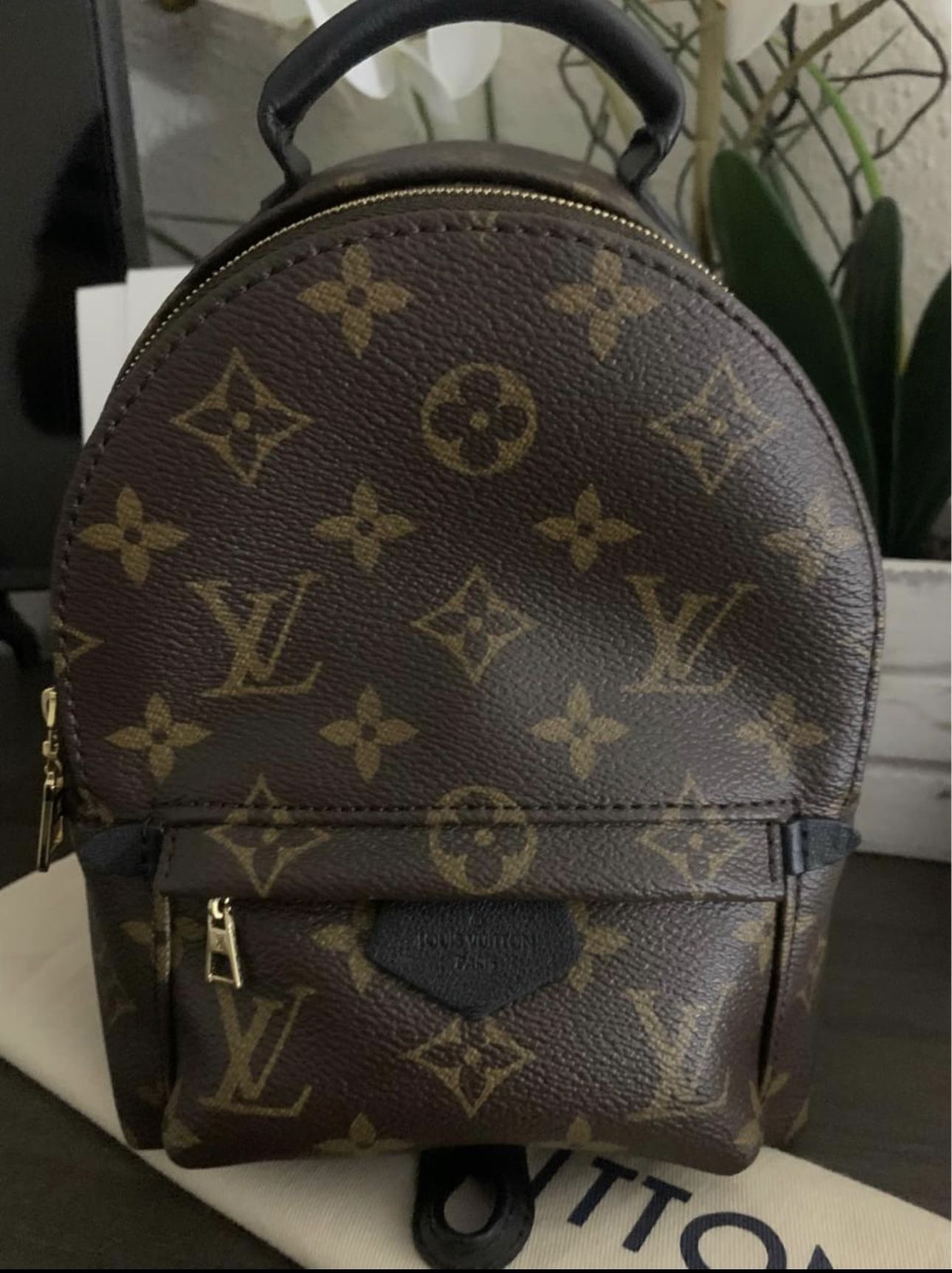 Louis Vuitton Clapton mini backpack for Sale in Suisun City, CA - OfferUp