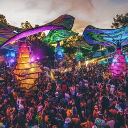 Lightning In A Bottle Tickets