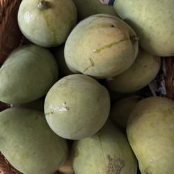 Haitian Mangoes 
