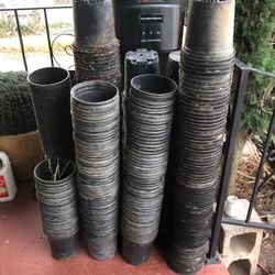 Plant Pot Small Size