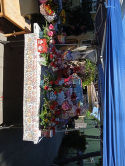 Mother's Day flowers for sale