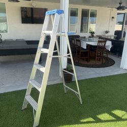 Werner Aluminum Ladder 