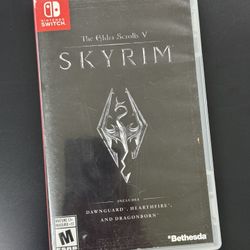 The Elder Scrolls Skyrim Nintendo Switch 