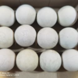 Lacrosse 40 pack 