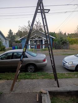 Orchard ladder