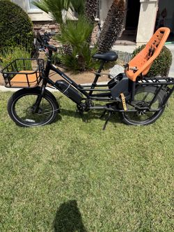 RadWagon 4- 206 Miles