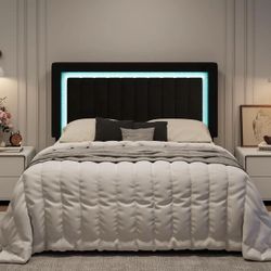 Queen size bed frame (mattress not included)