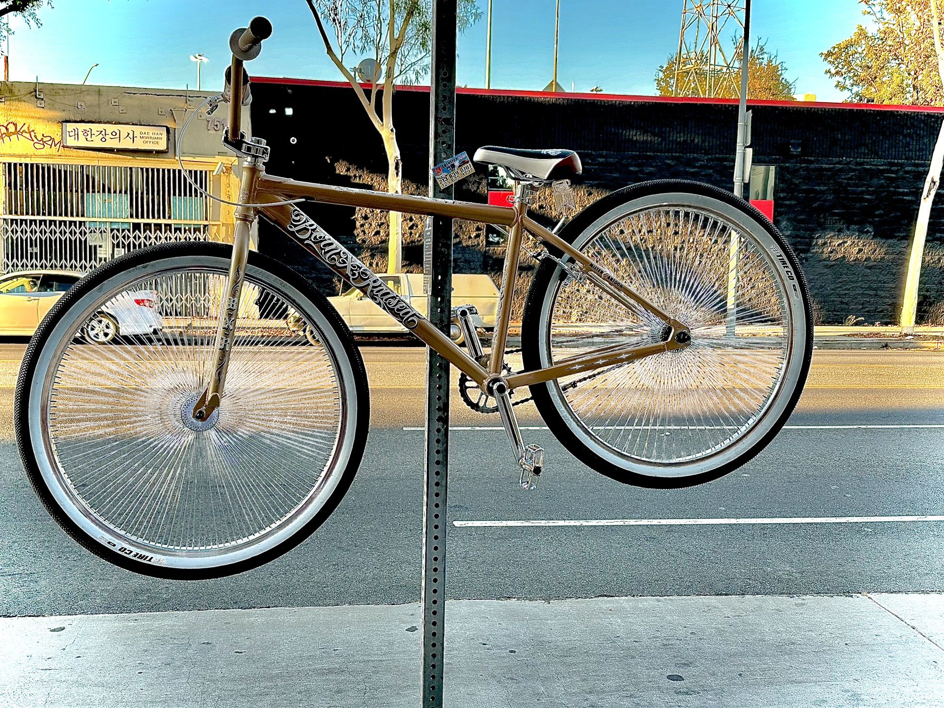 THRONE 29ER FIXED GEAR