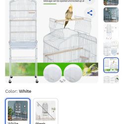 Bird Cage