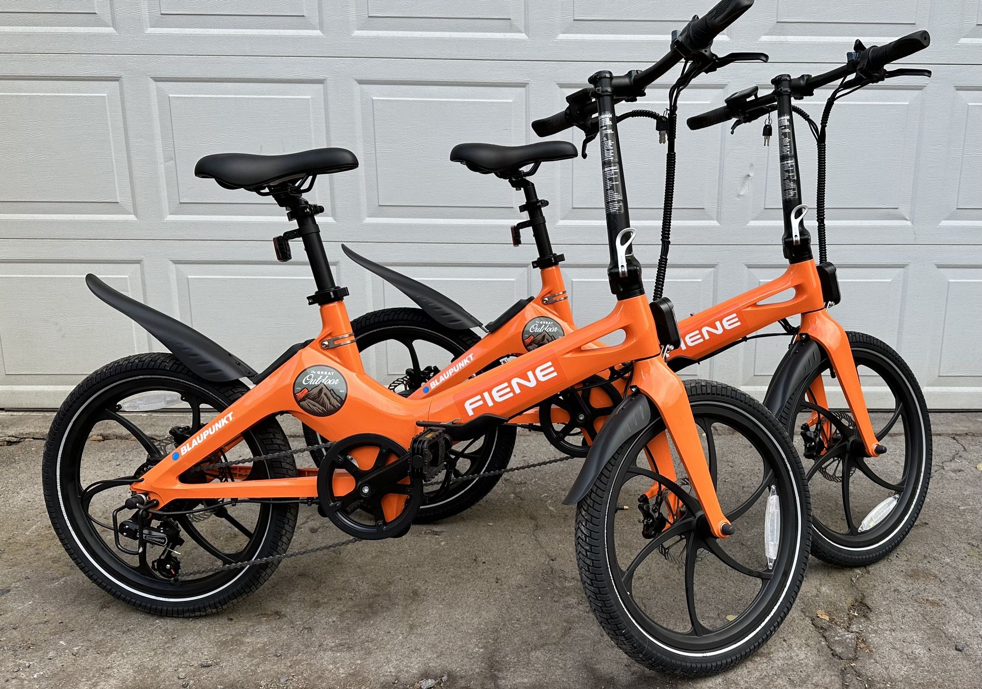 Blaupunkt Foldable E-bikes Fiene