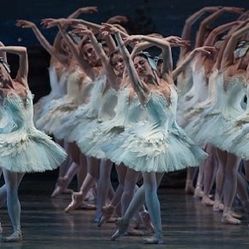 Swan Lake Ballet 