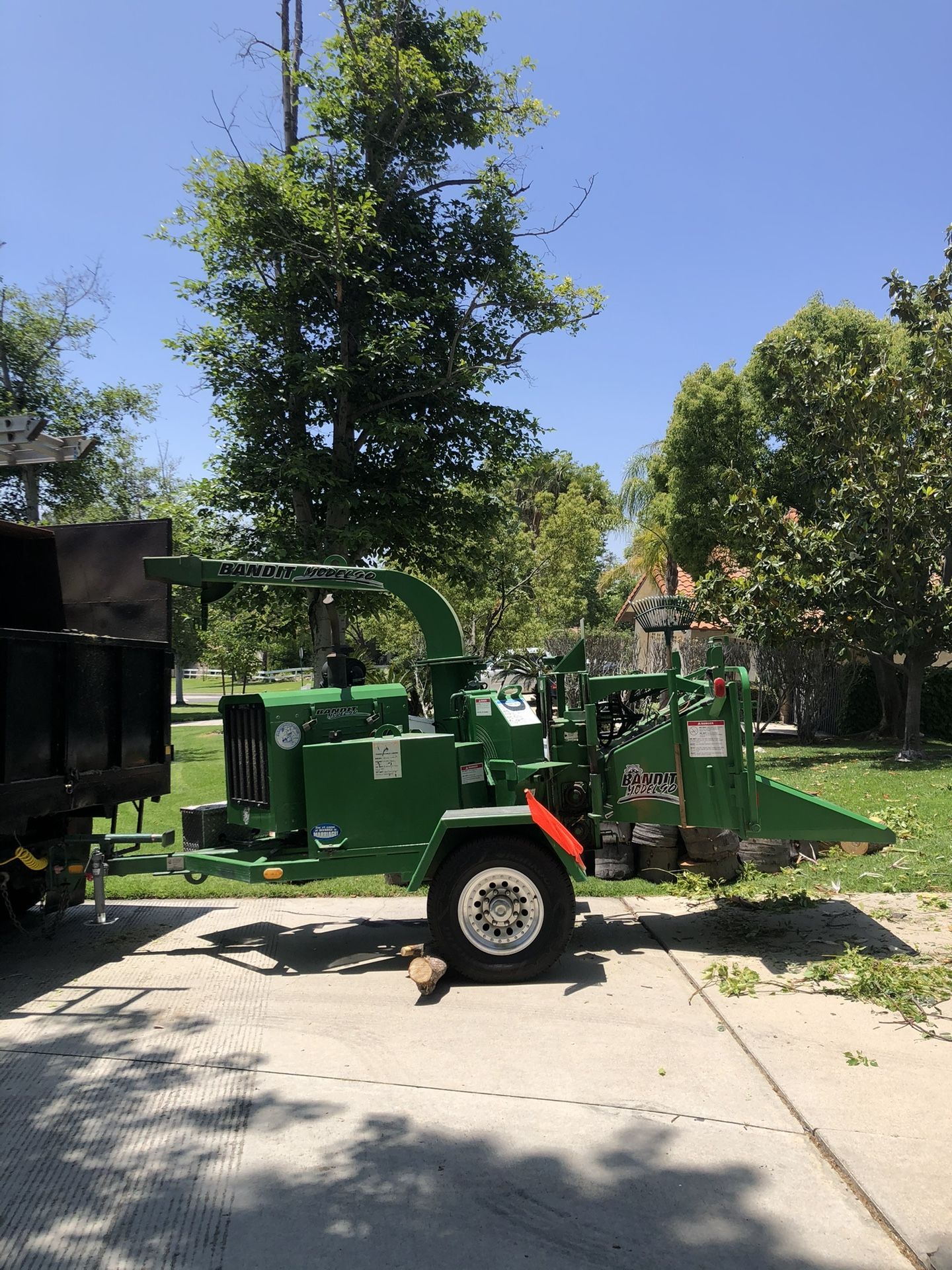 🦫Tree Trimming🌳