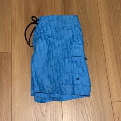 Men’s Dior Swimwear 