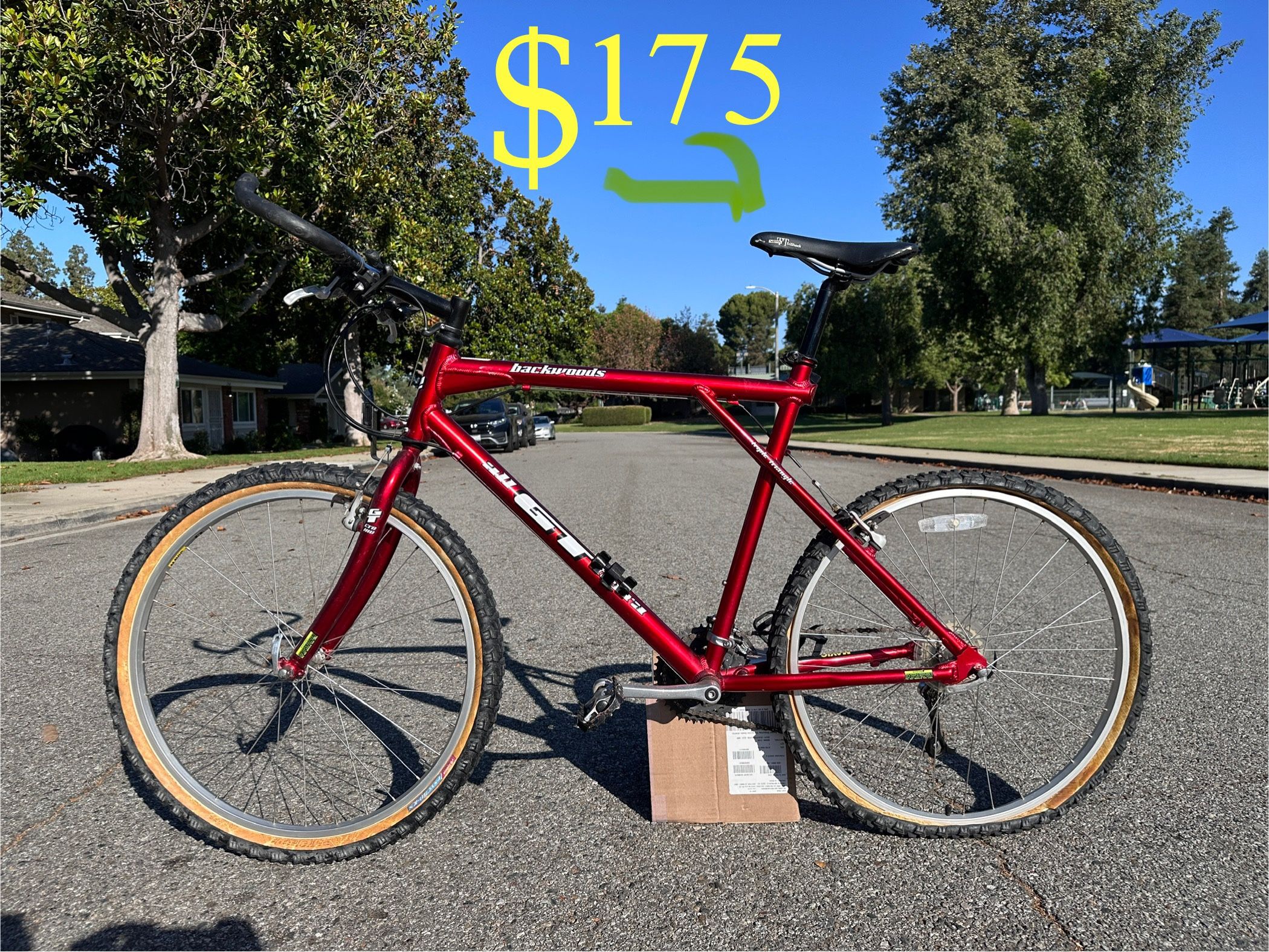 GT Backwoods Mountain Bike Bicycle