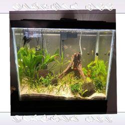 Complete Aquarium System - Jump into Water World Beauty by toward