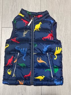 Hanna Andersson US4 100cm super light down vest dinosaur print