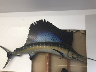 Sailfish wall hanger