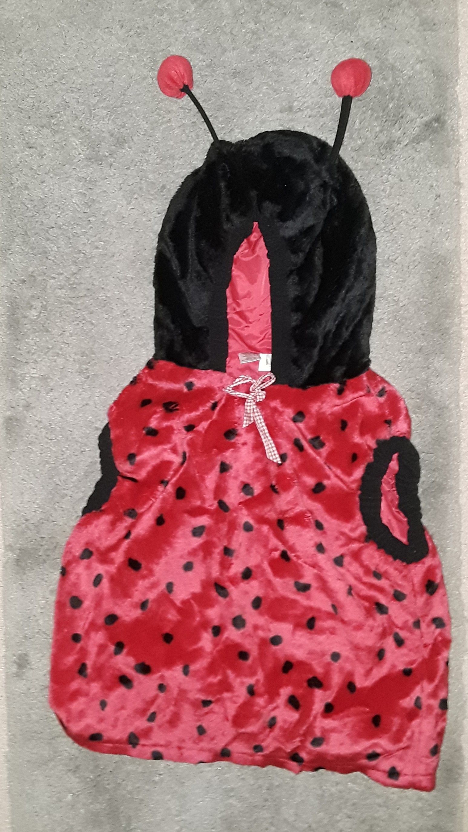 Child size ladybug costume