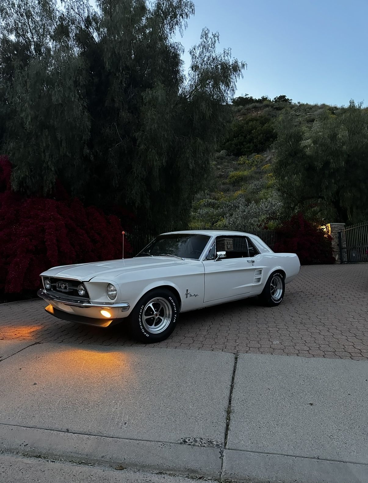 1967 Ford Mustang