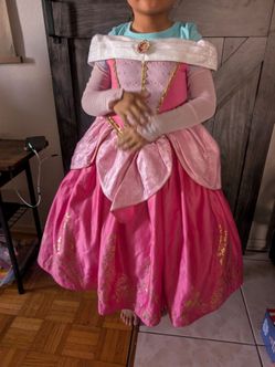 Sleeping beauty Disney Princess dress